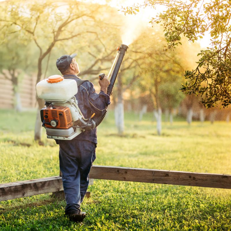 Industrial worker using sprayer for organic pesticide distribution in fruit orchard